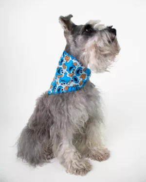 Come Galletas Pañoleta - Mascota