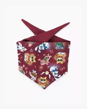 Harry Pañoleta - Mascota